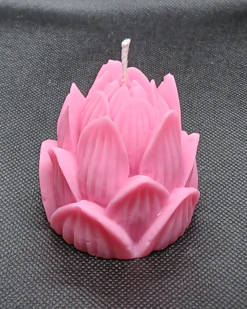 Lotus Flower Lotus Flower